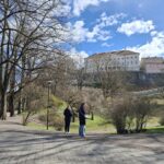 Beyond the Postcard A Local Guide to Tallinn's Most Instagrammable Spots