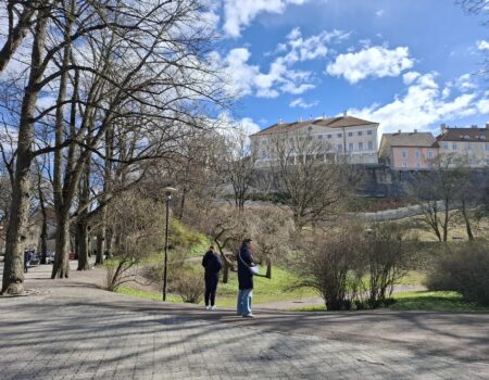 Beyond the Postcard A Local Guide to Tallinn's Most Instagrammable Spots