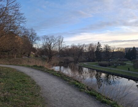 Finding Serenity The Best Quiet Tallinn Green Capital Trails and Parks for a Relaxed Escape