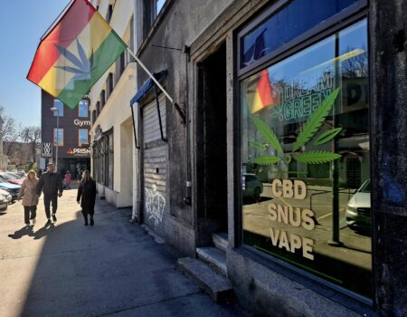 The Stress-Free Guide to Enjoying Your Trip with CBD in Tallinn