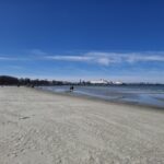 Adventure Parks & Urban Fitness in Tallinn A Guide to Active Travel