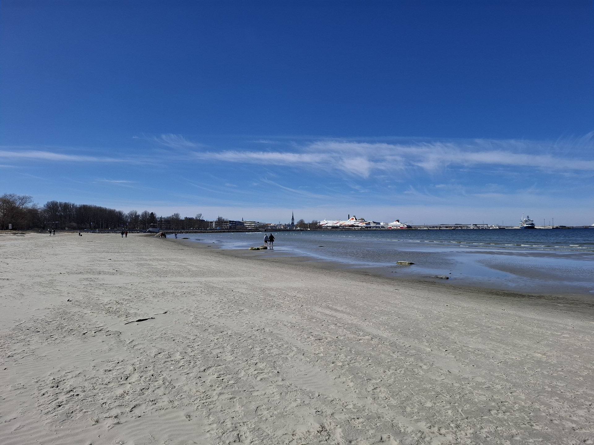 Adventure Parks & Urban Fitness in Tallinn A Guide to Active Travel