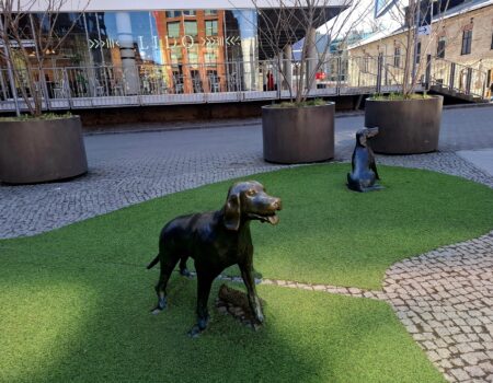 Dog-Friendly Tallinn Walks Parks, Promenades and Waterfront Paths