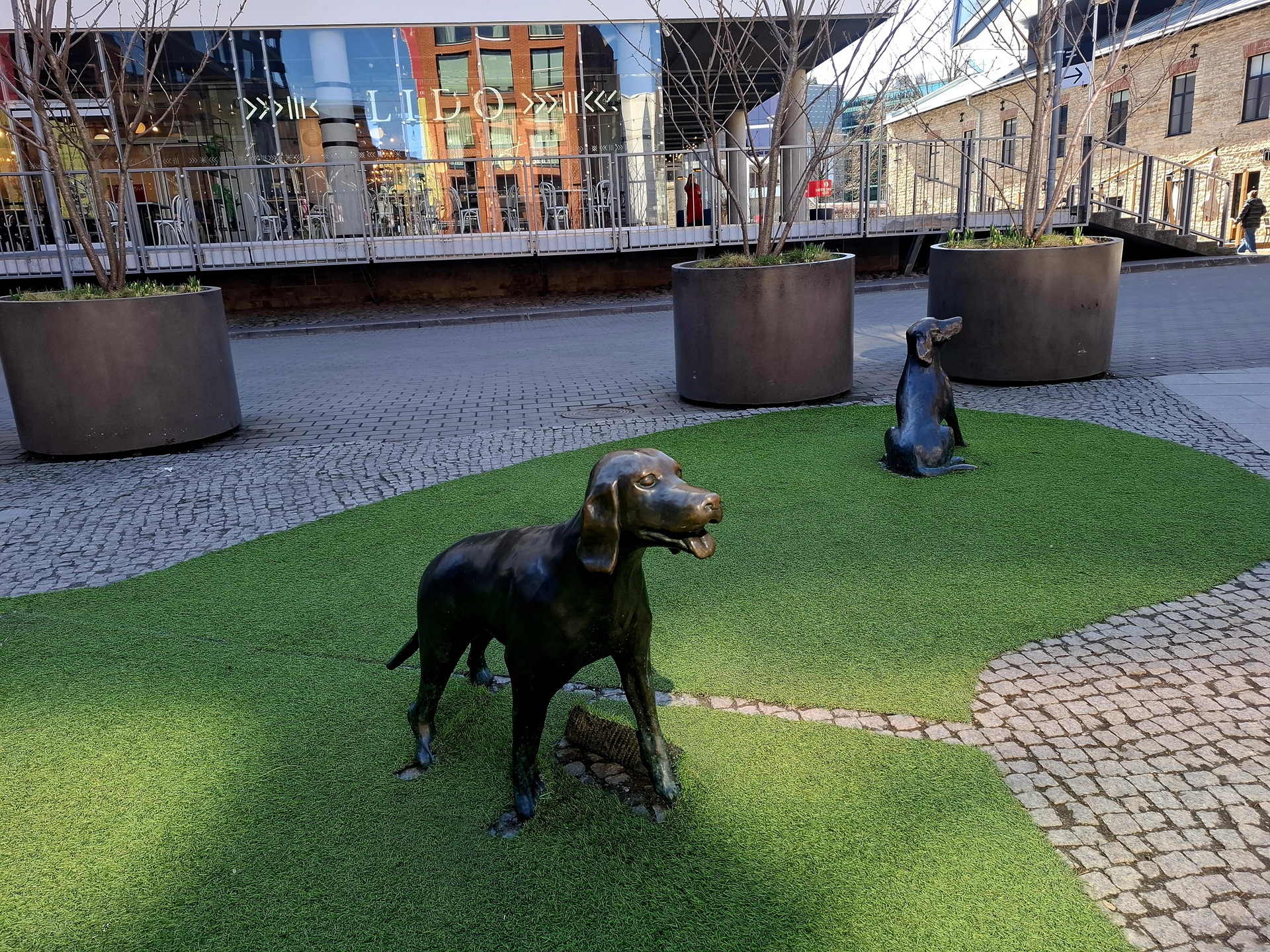 Dog-Friendly Tallinn Walks Parks, Promenades and Waterfront Paths